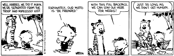 Calvin and Hobbes comic