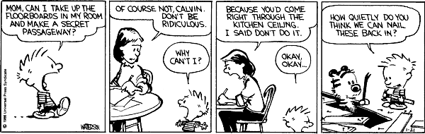 Calvin and Hobbes comic