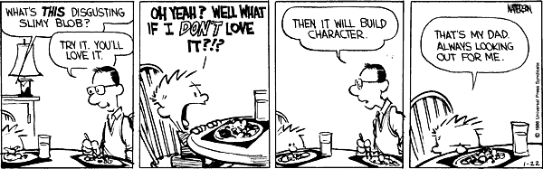 Calvin and Hobbes comic