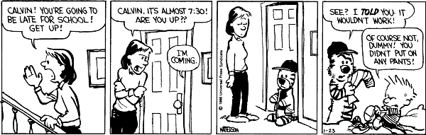Calvin and Hobbes comic
