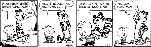 Calvin and Hobbes comic