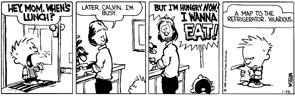 Calvin and Hobbes comic
