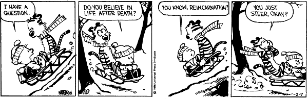 Calvin and Hobbes comic