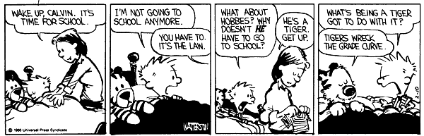 Calvin and Hobbes comic