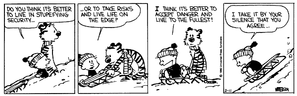 Calvin and Hobbes comic