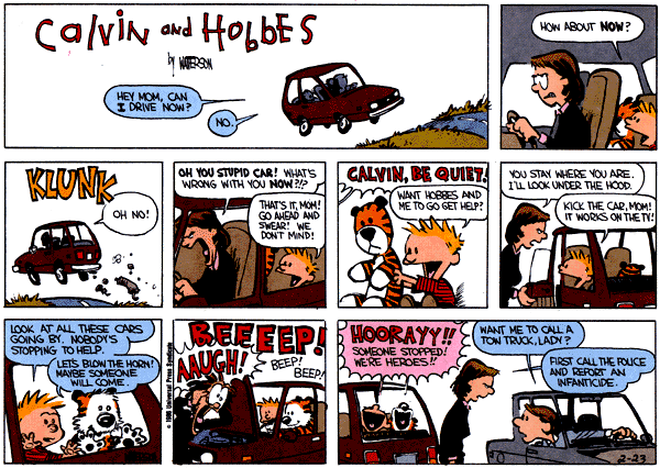 Calvin and Hobbes comic