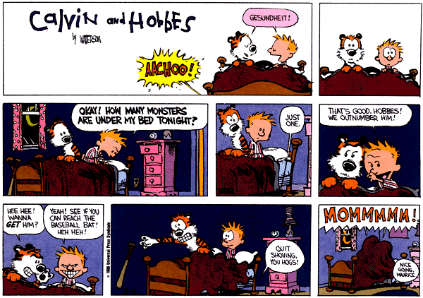 Calvin and Hobbes comic