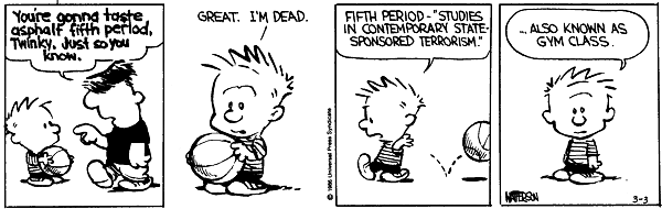 Calvin and Hobbes comic