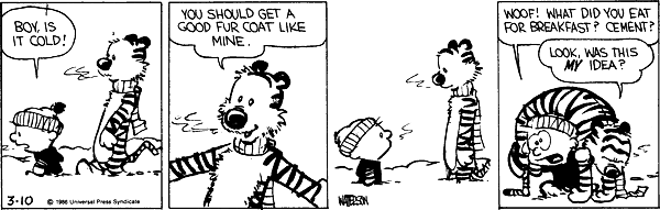 Calvin and Hobbes comic