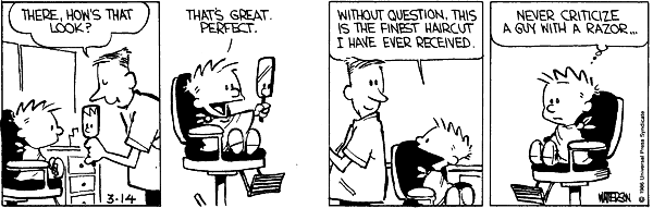 Calvin and Hobbes comic