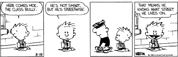 Calvin and Hobbes comic