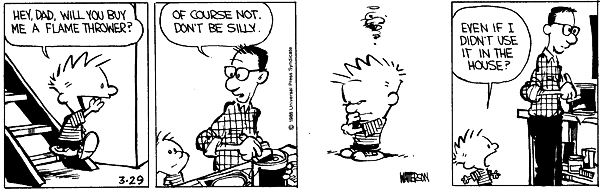 Calvin and Hobbes comic