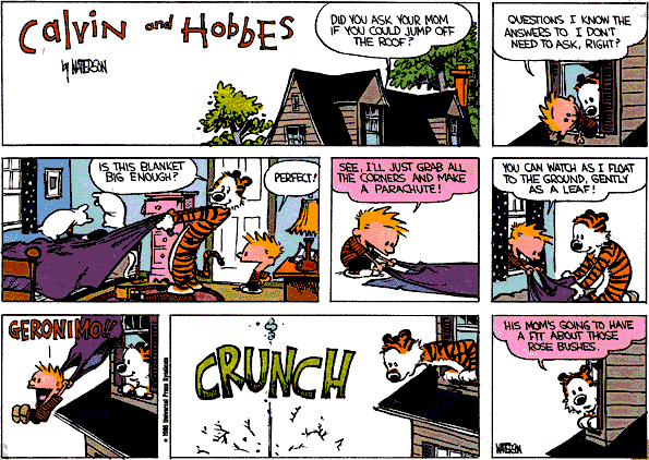 Calvin and Hobbes comic