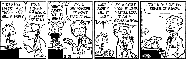 Calvin and Hobbes comic