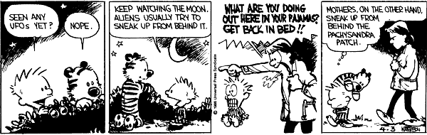 Calvin and Hobbes comic