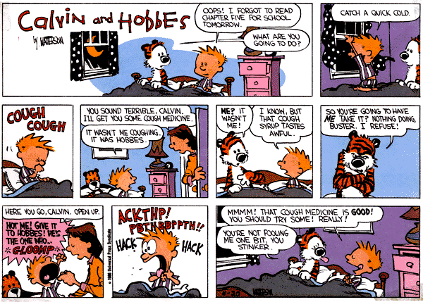 Calvin and Hobbes comic