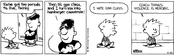 Calvin and Hobbes comic