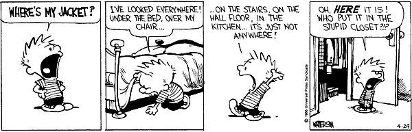 Calvin and Hobbes comic