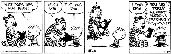 Calvin and Hobbes comic