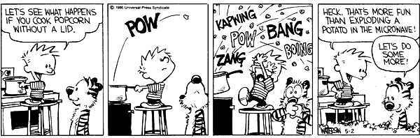 Calvin and Hobbes comic