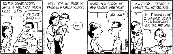 Calvin and Hobbes comic