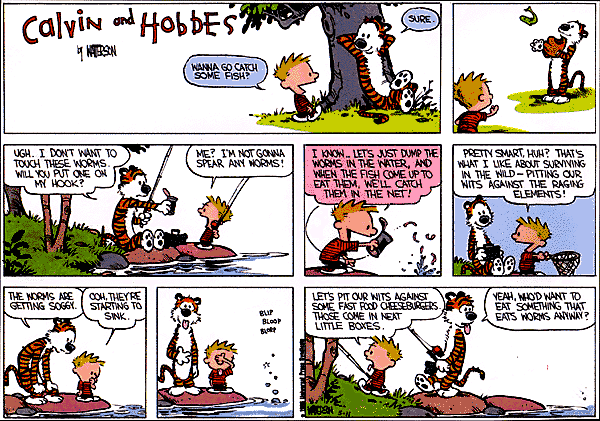 Calvin and Hobbes comic
