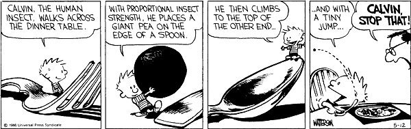 Calvin and Hobbes comic