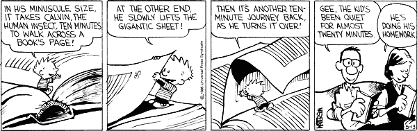 Calvin and Hobbes comic