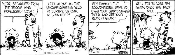 Calvin and Hobbes comic