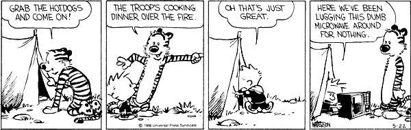 Calvin and Hobbes comic