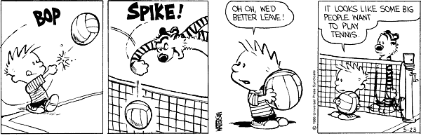Calvin and Hobbes comic