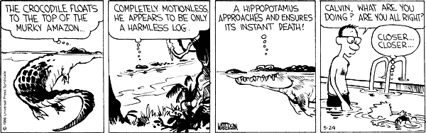 Calvin and Hobbes comic