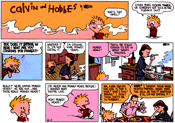 Calvin and Hobbes comic