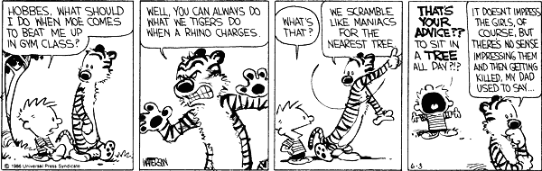 Calvin and Hobbes comic