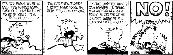 Calvin and Hobbes comic
