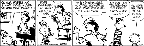 Calvin and Hobbes comic