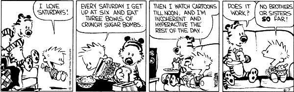 Calvin and Hobbes comic