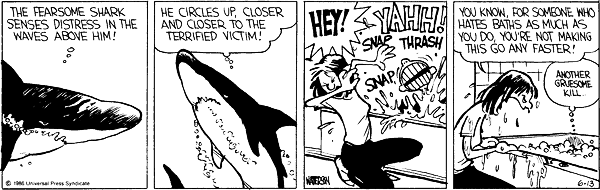 Calvin and Hobbes comic