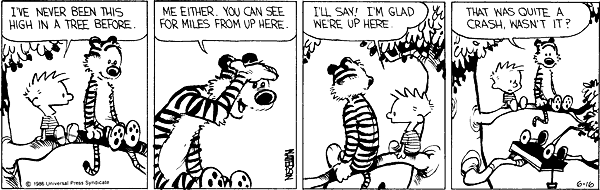 Calvin and Hobbes comic