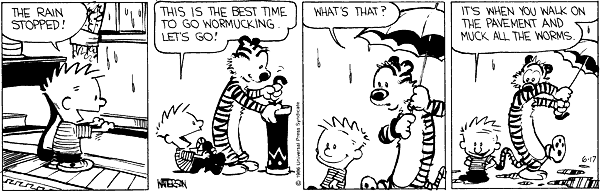 Calvin and Hobbes comic