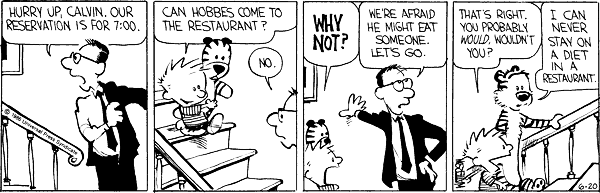 Calvin and Hobbes comic