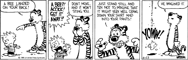 Calvin and Hobbes comic