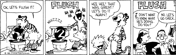 Calvin and Hobbes comic