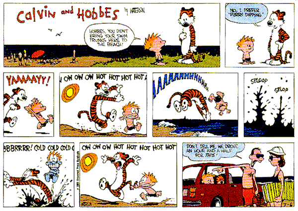 Calvin and Hobbes comic