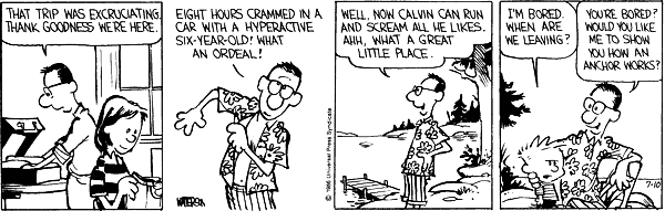 Calvin and Hobbes comic