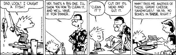 Calvin and Hobbes comic