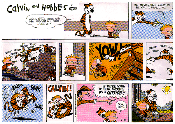 Calvin and Hobbes comic