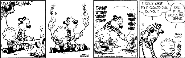 Calvin and Hobbes comic