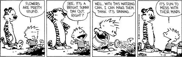 Calvin and Hobbes comic