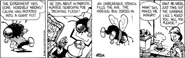 Calvin and Hobbes comic
